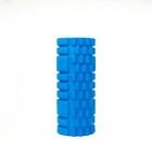 3cofit Foam Roller Blue For Muscle Massage Therapeutic Muscle Roller