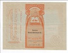 New York 1922 American National Petroleum Co Stock Certificate  21