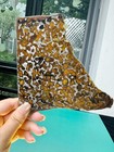 91 28grams  Sericho Pallasite Meteorite Slice With Certificate