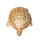 Vtg Avon Turtle Sweet Honesty Solid Perfume Compact Figurine
