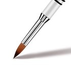 3d Nail Art Brush For Acrylic Powder  Kolinsky Acrylic Nail Brush  Silver Metal 