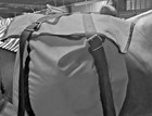 Western Horse Riding Saddle Pannier Bags  Hunting Camping Trip outfitter  Brown