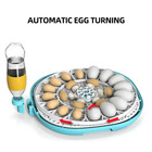 22 Egg Incubator Digital Poultry Hatcher Machine With Automatic Egg Turning