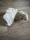 10 Large medium Hag Stones Unique Shapes Holey Hag Stones