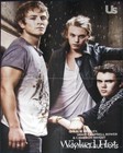 Breaking Dawn Rob Kristen Taylor 2 Posters Centerfold Lot 2509a Zac Efron Back