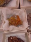 9pc Wulfenite Crystal Specimen Lot San Francisco Mine Sonora Mexico Boxed Rare