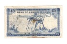 Zambia 1964 5 Pounds  P3