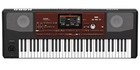 Korg Pa700 Professional Arranger Keyboard 61 Key Genuine Product Brand New