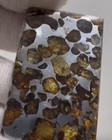 Sericho Pallasite Meteorite Pendant Olive Iron Meteorite - From Kenya Necklace
