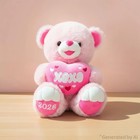 Medium Valentines Day Teddy Bear Plush