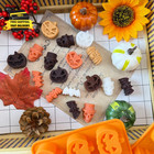 4 Pack Halloween Candy Chocolate Molds  Pumpkin Chocolate Mold Halloween Pumpkin