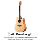 Donner Acoustic Guitar Kit For Beginners Adult Teen - Starter Kit  Full Size    