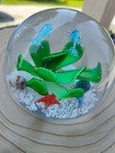Dolphins Over Flower  dynasty Gallery  3 5  Glass Paperweight   Starfish snails