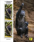 Chimpanzee Monkeys Mnh Stamps 2024 Central African 2 M s