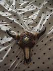 Native American Buffalo Skull Set Of 3