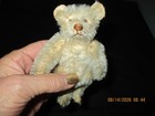 5  Tall Antique  Adorable White Steiff Teddy Bear Rattle