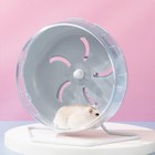 Silent Hamster Wheel 7 Inch Hamster Exercise Wheel Height-adjustable Hamster    