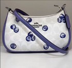 Coach Teri 2way Shoulder Bag In Leather Canvas With Funky Blueberry Print Cr292