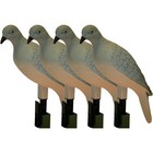 Mojo Outdoors Hunting Hard Body Plastic Clip-on 4-pack Dove Decoys  hw9004 