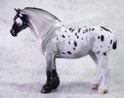 Dah Braided Mane   Tail Blue Roan Appaloosa Bunny Heavy Draft Mare