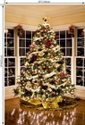 5x7ft Christmas Tree Decorating Vinyl Photography Backdrop Studio Prop