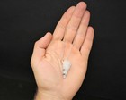 Rainbow Moonstone Pendulum   Chain  crystal  Dowsing   Divination 