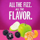 Izze Sparkling Juice  4 Flavor Variety Pack  8 4 Fl Oz  24 Count 