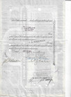 1921 International Mercantile Marine Co  25 Shares Preferred Stock Certificate