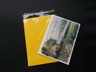 200 Clear Resealable Cello Cellopane Envelopes A2  4 5 8 X 5 3 4