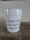Cedar Crest High School Class Of 1994 2 Plastic Tumbler Cups 16 Oz Lebanon  Pa