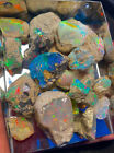 100  Natural Jumbo Ethiopian Fire Opal Play Color Certified Rough Specimen Lot
