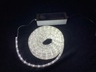 Scorpion 50  Led Industrial String Light Low Voltage 12v Cool White Ip67