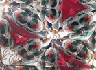 Stained Glass Kaleidoscope- Flowers  Garden  Iris  Watering Can  Rose