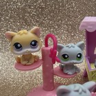 Hasbro Lps Littlest Pet Shop Lot Kittens  88  114  198  299  47  66 Bonnet  100