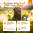Dog Allergy Relief- Dog Itching Skin Relief- Dog Probiotics For Itchy Skin And I