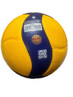 Mikasa V200w 2019 Official Fivb Indoor Outdoor Volleyball Size 5 - Blue yellow