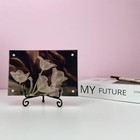 6pcs Premium Black Iron Plate Stands For Display 4 Inch  Decorative Solid Metal 