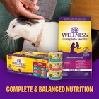 Wellness Complete Health Pate Kitten Wet Cat Food Chicken 3 Oz 24 Pk    xaw 