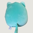 Squishmallows Charisma Mint Cat 12 Inch Heart String Lights 2024 Plushy Nwt
