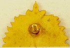 District Of Columbia State Staff Crest Di dui Screwback