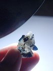 Indicolite Tourmaline Crystals On Albite