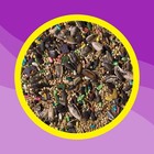 3-d Pet Products Premium Cockatiel Mix Bird Food Seeds  With Probiotics 9 Lb bag