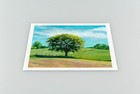The Tree - Landscape Giclee Art Print - Unframed Or Framed