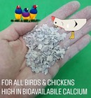 Pure Oyster Shells Calcium Grit For Birds   Chickens Bulk    choose Size   