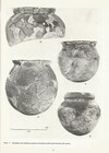 Archaeology Indian Book Fort Pierre  Sd Stanley Co  Fay Tolton Site  R13c