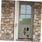 Ideal Pet Products Designer Series Plastic Pet Extra Large - 10 5  X 15  Flap