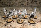 Star Wars Legion Miniatures Stormtroopers - 7 Figures Pro Painted  f