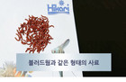 Hikari Vibra Bites Fish Feed 280g