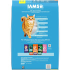 Iams Proactive Health Healthy Weight Chicken Flavor Adult Dry Cat Food 16 Lb Bag