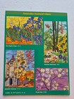 Aanraku Eclectic Vii Stained Glass Pattern Book From The Original Collection